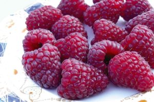 raspberry Joan J