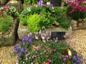 Troughs of delightful alpines Image: Jean Vernon