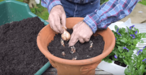 How to Layer Bulbs YouTube