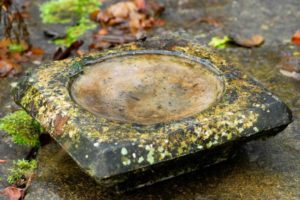bird bath