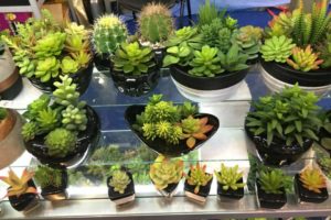 Artificial cacti and succulents