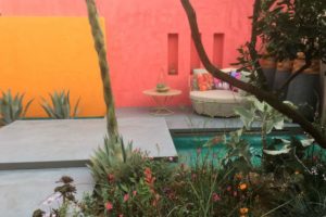 colourful wall in garden