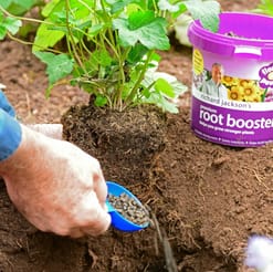 Root Booster 650g