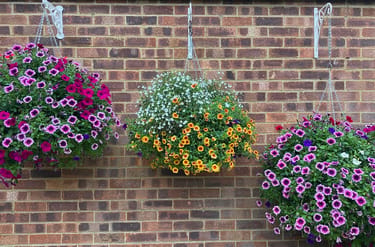 3 hanging baskets along a garage wall
