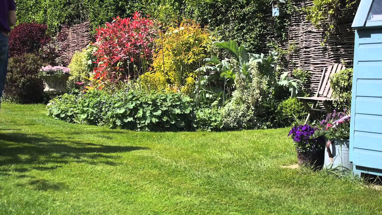 How To Keep Your Lawn in Top Condition