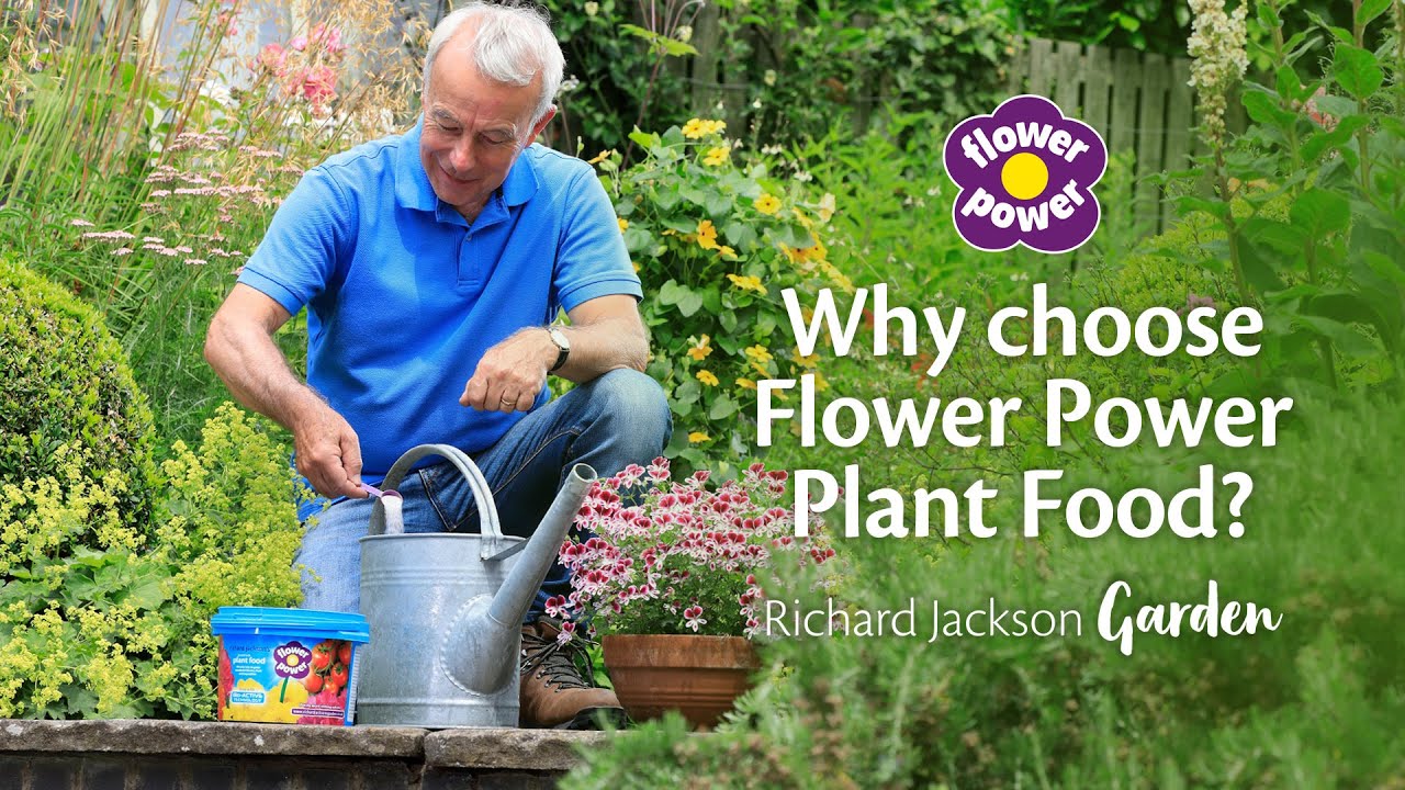 Why Choose Richard Jackson's Flower Power Plant Food?