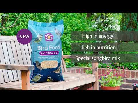 Richard Jackson No Grow Bird Food - High Energy Mix To Nourish Britain's Wild Birds