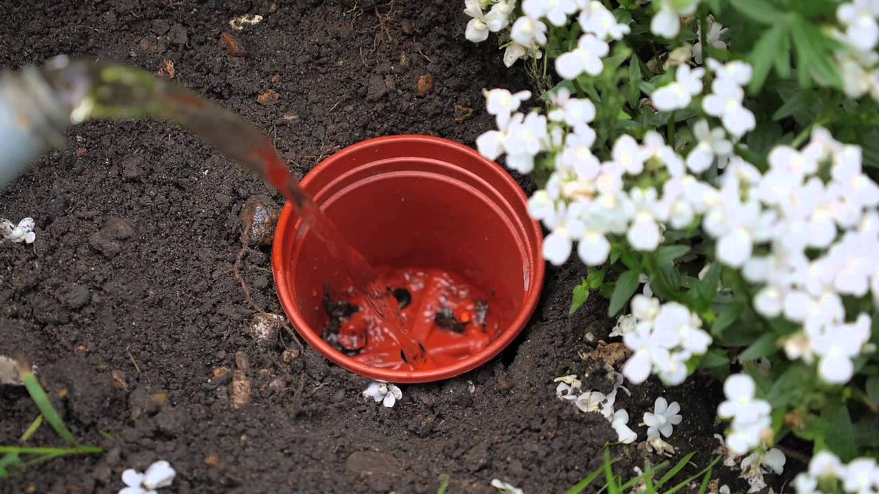 Save Time Watering the Garden
