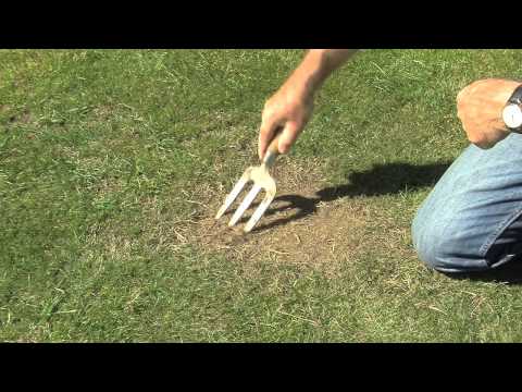 Fix Patches in Your Lawn