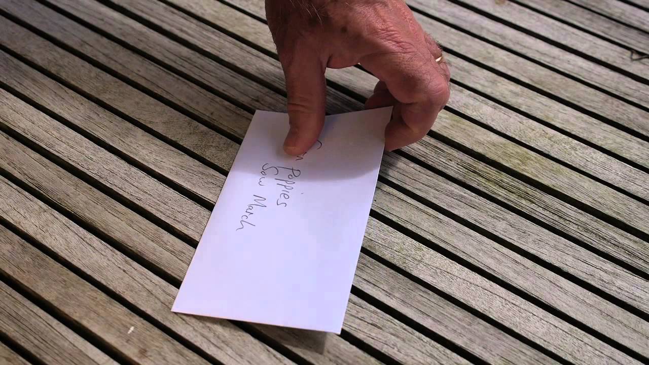 How to Collect Seeds