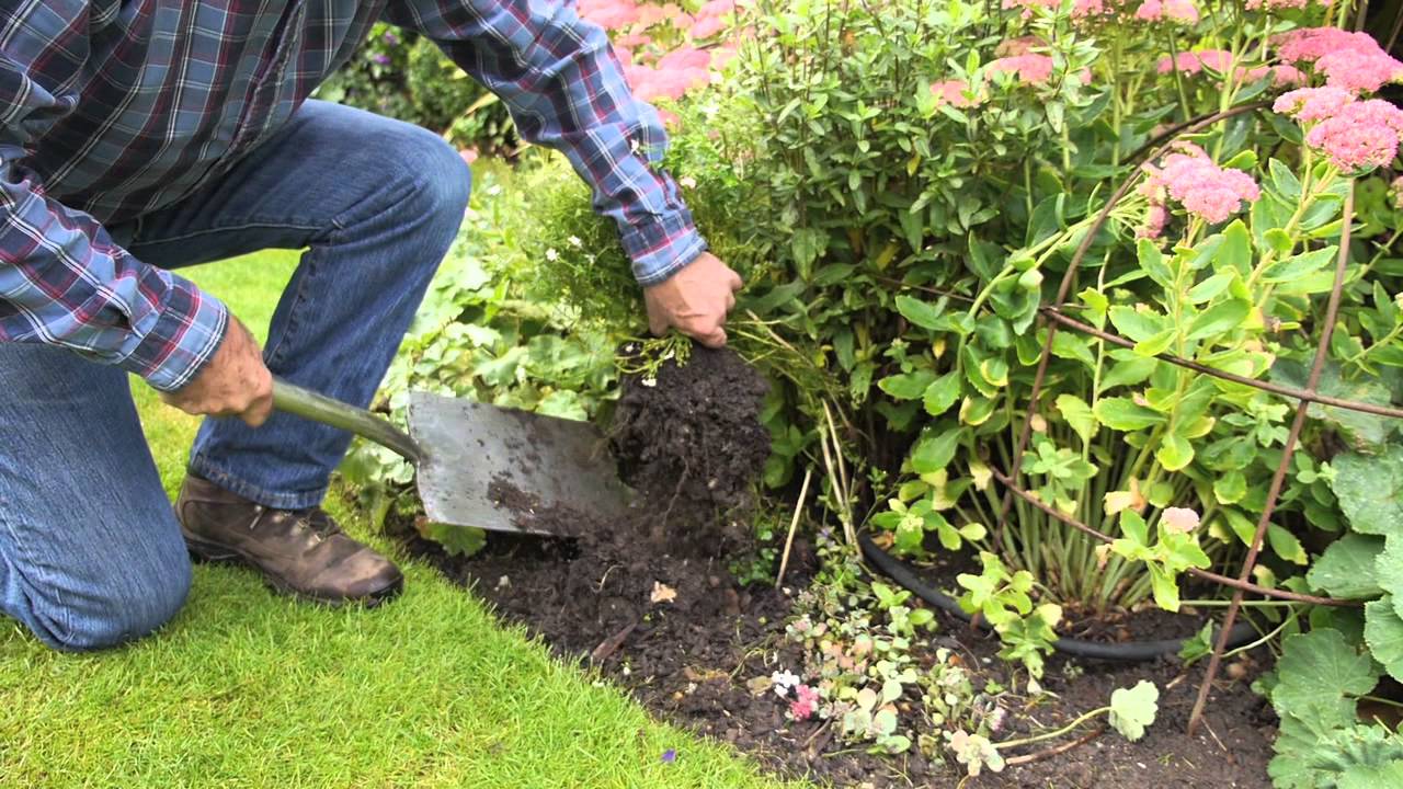 Refresh your Flowerbeds