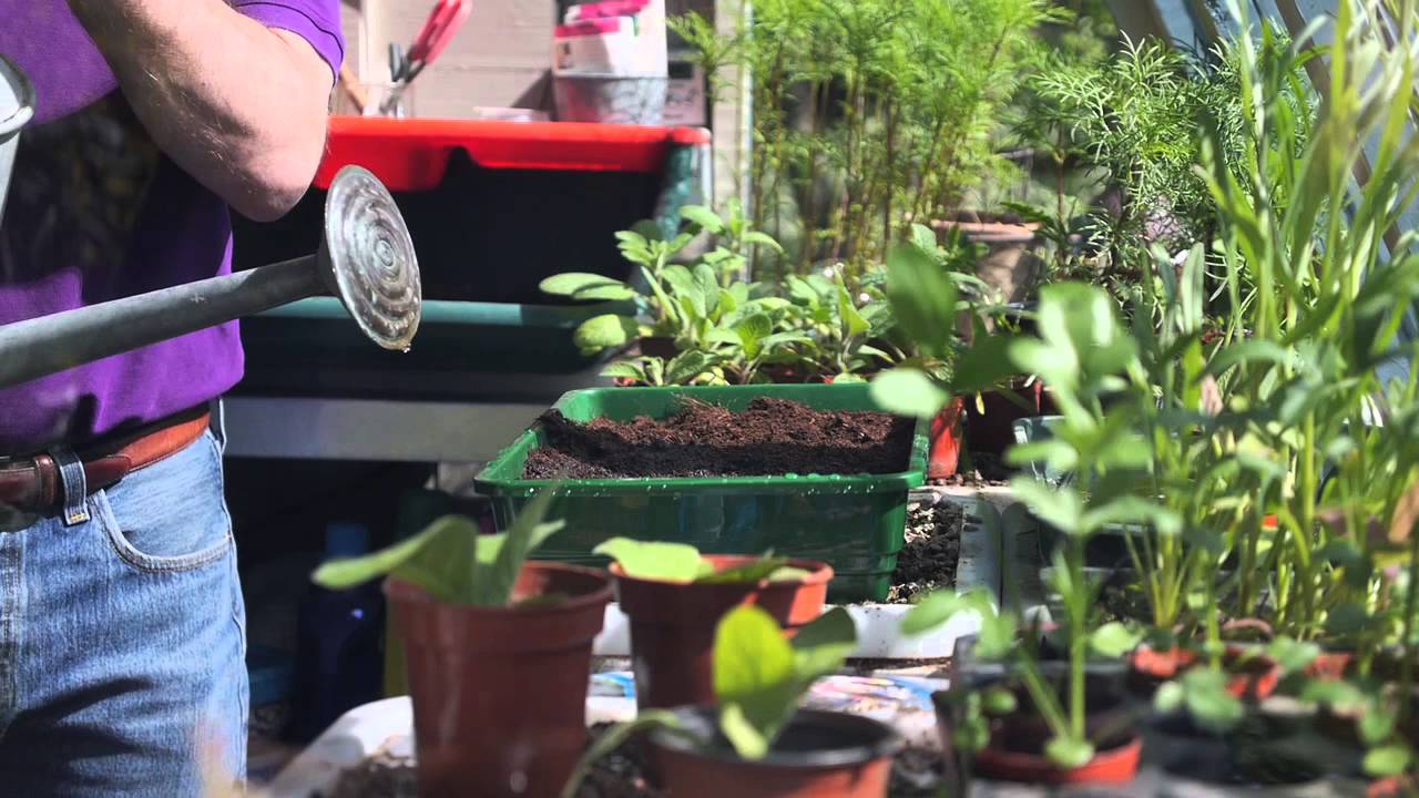 Pack Your Garden With Colour