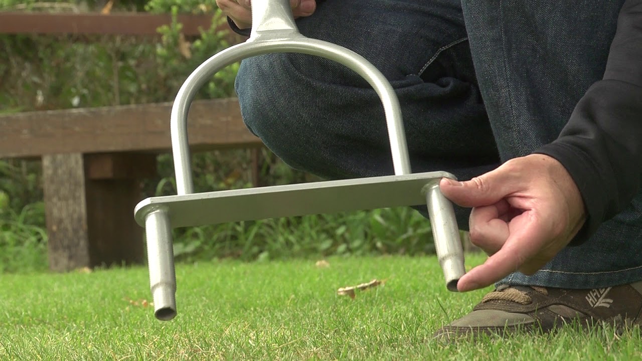 Autumn lawn care