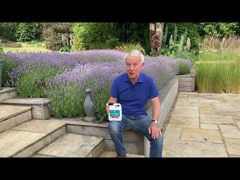 Richard Jackson Easy Clean Ultra