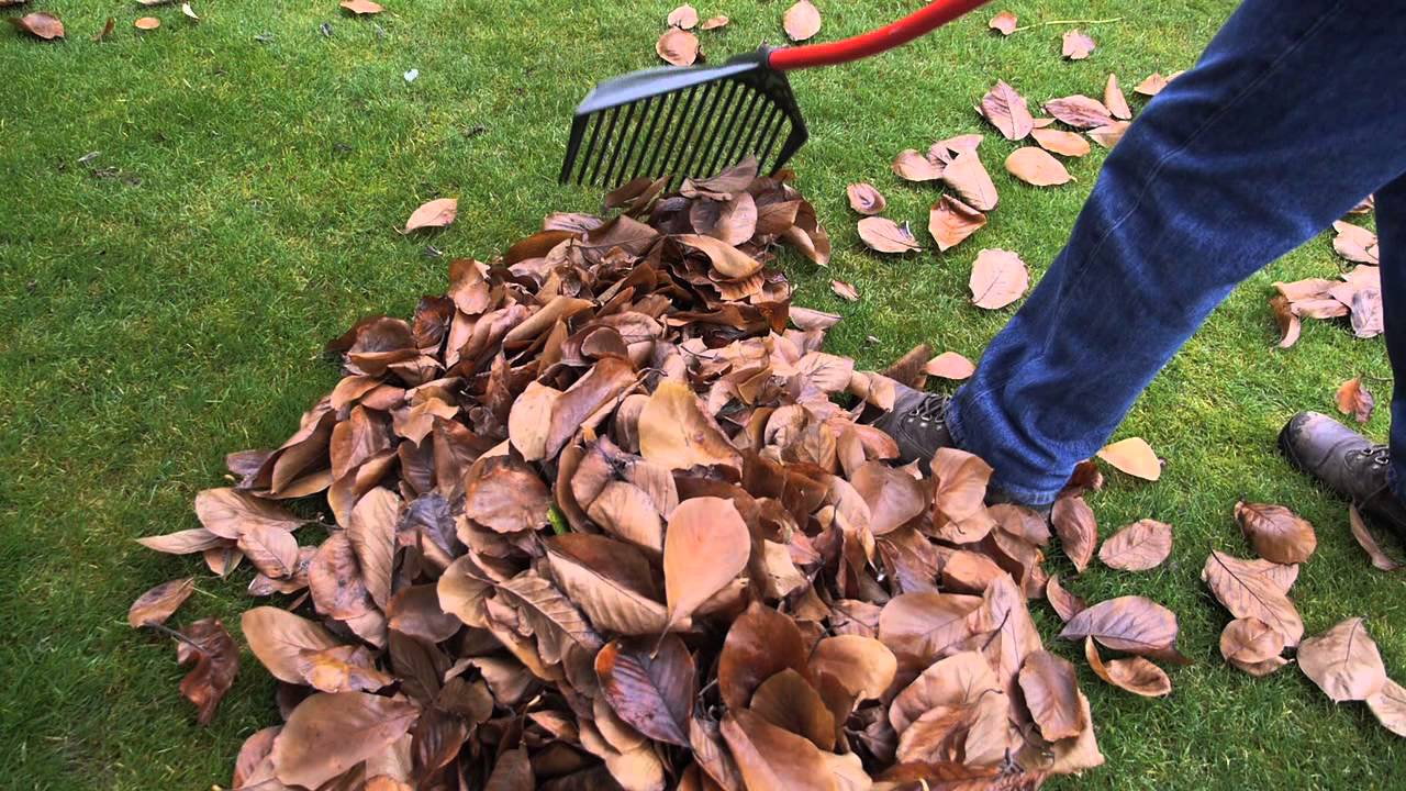 Make Use Of Fallen Leaves