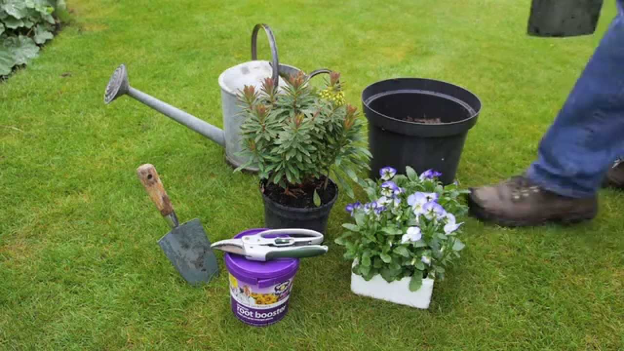 Autumn Planting