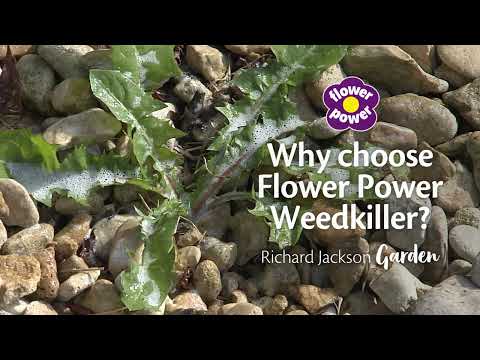 RJ FP weedkiller 1280x720px Amazon Ad