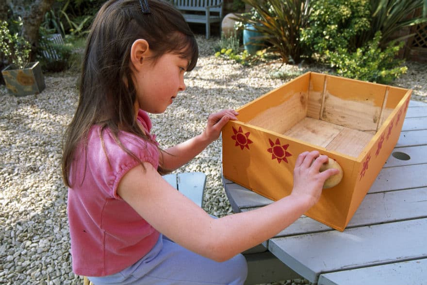 decorating salad box