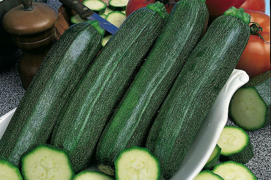 courgette