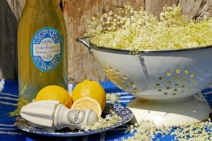 Elderflower Cordial