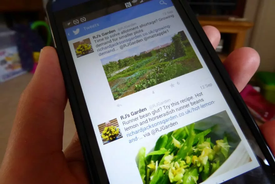 Twitter on smartphone