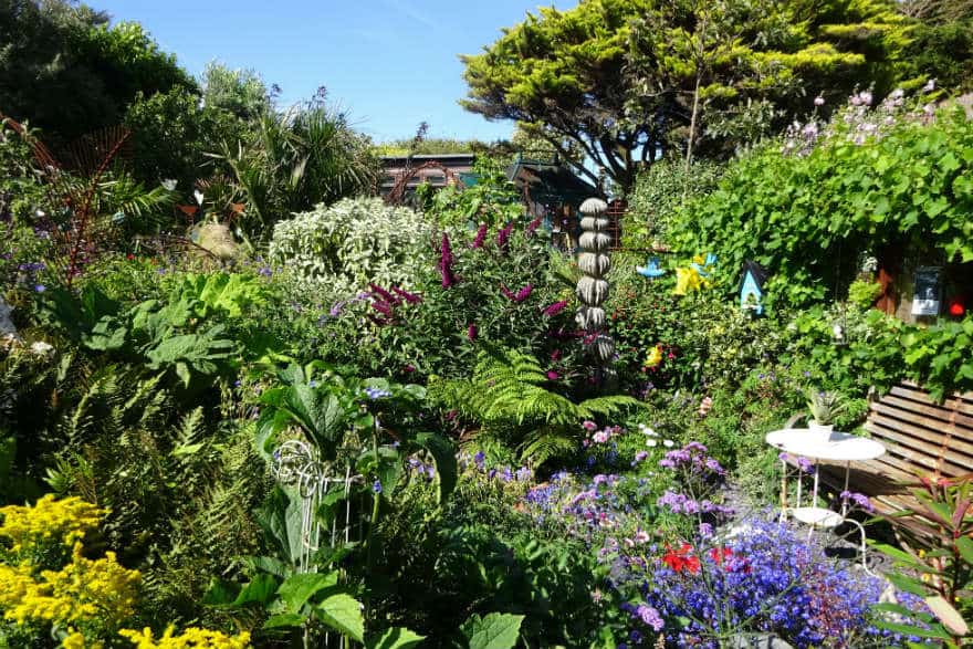 Drift Garden