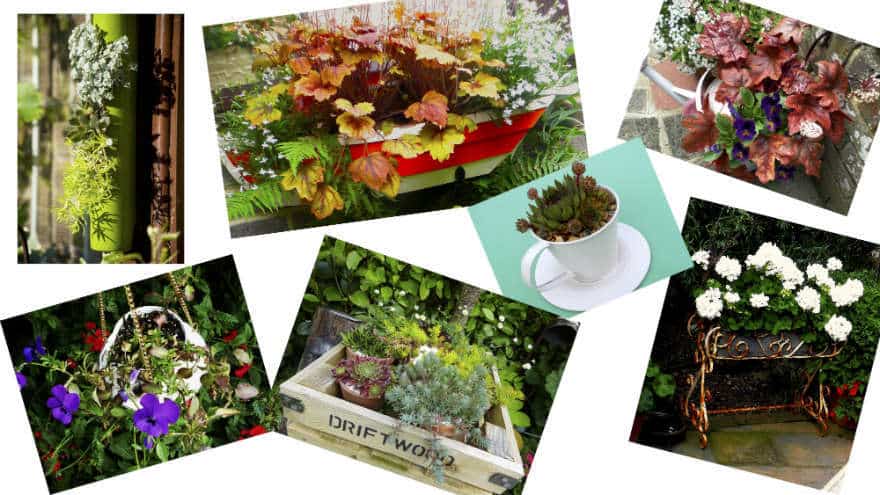 driftwood containers
