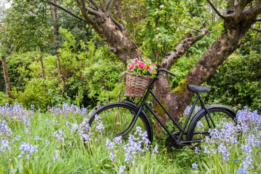The Flower Patch bike