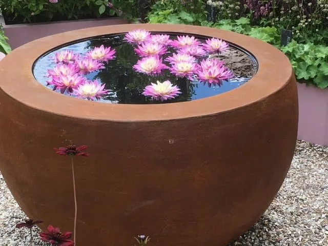 Floating flowers