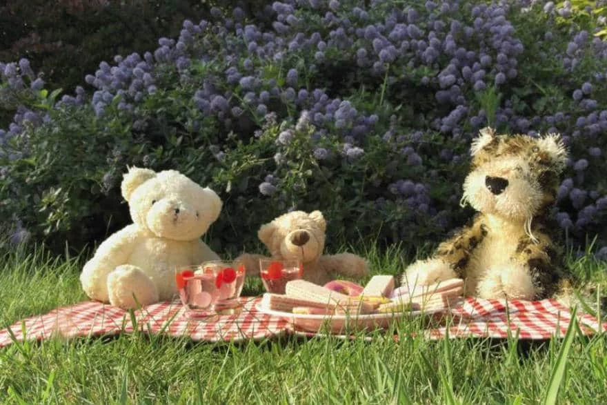 Teddy Bear's picnic