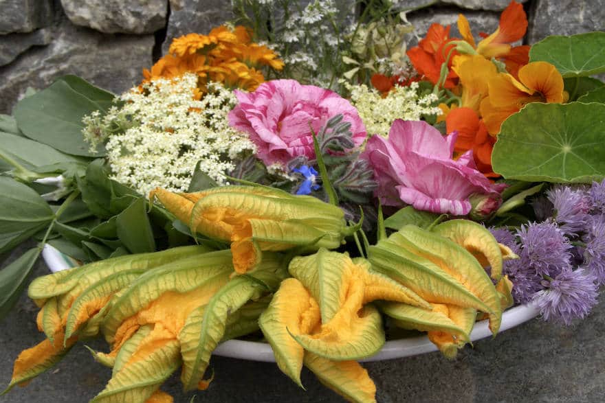 edible flowers