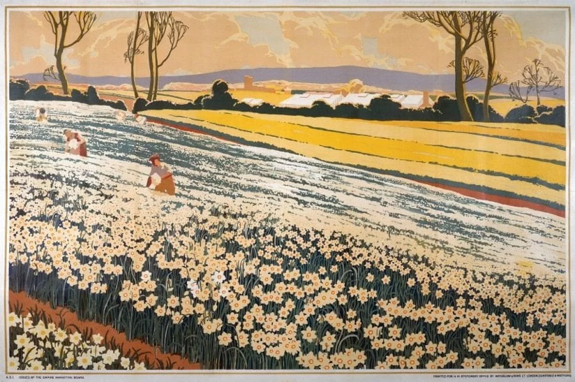 Daffodil Field Paintings