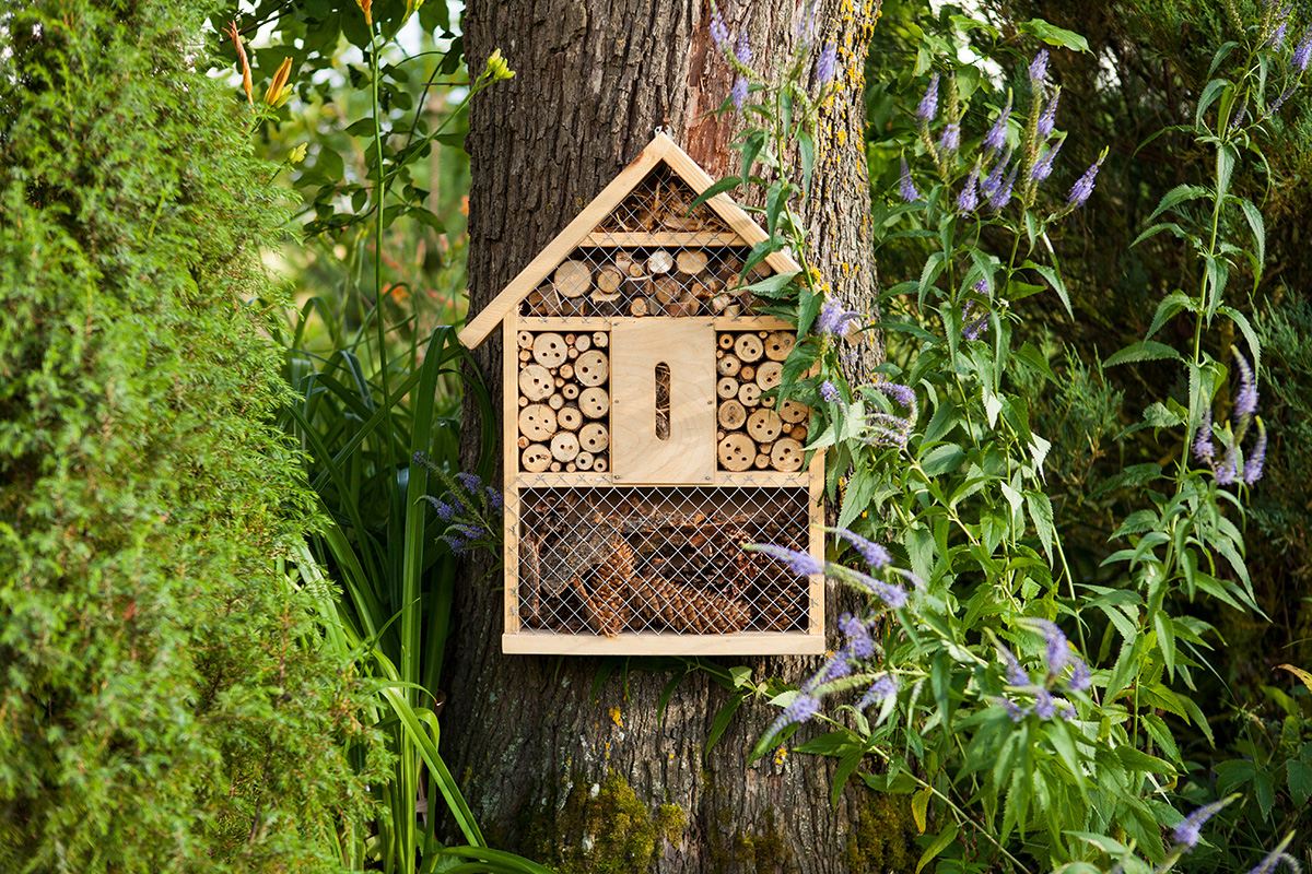 Bug hotel attached to tree