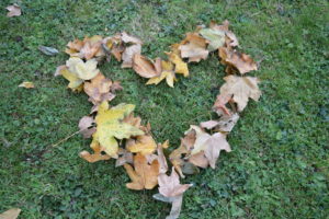 Leafy heart