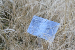 Metal plant labels