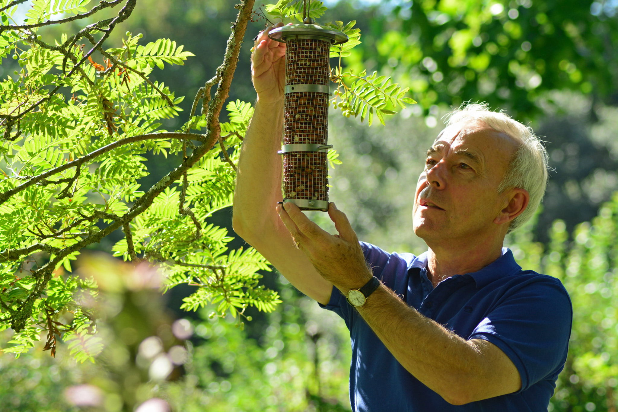 Richard Jackson feeding the birds in his garden with bird food