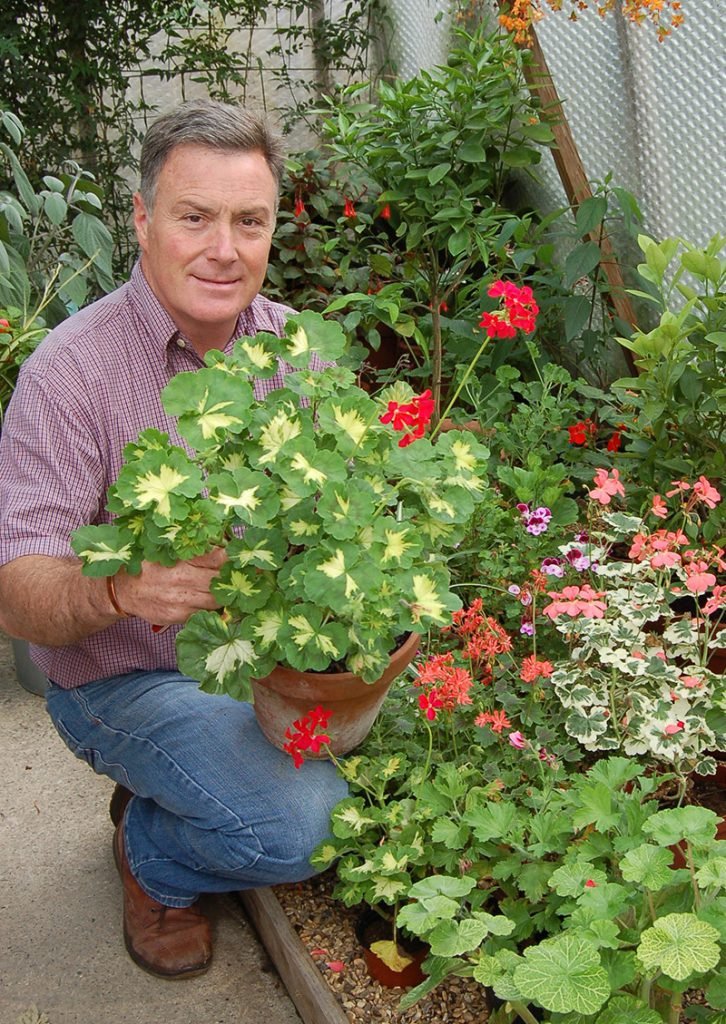 Martin Fish holding container of pelargoniums