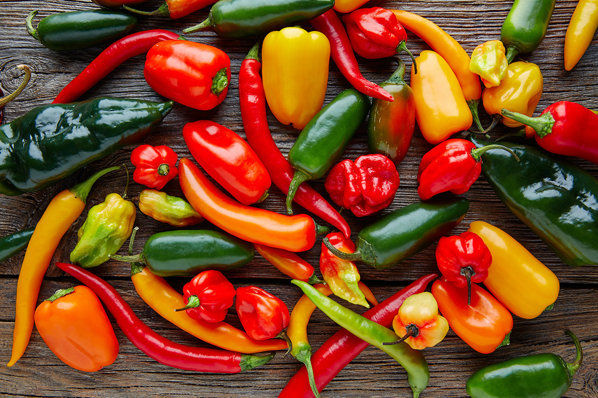 Grow peppers and chillies - Richard Jackson Garden