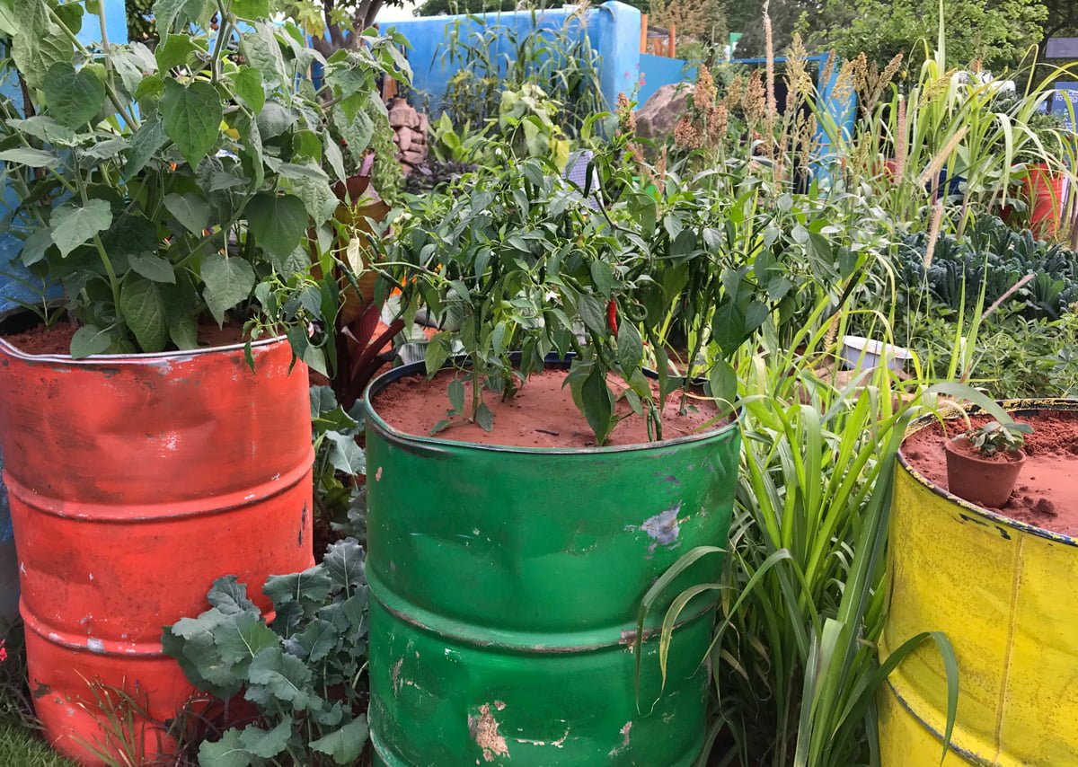 Image of Drums planter ideas