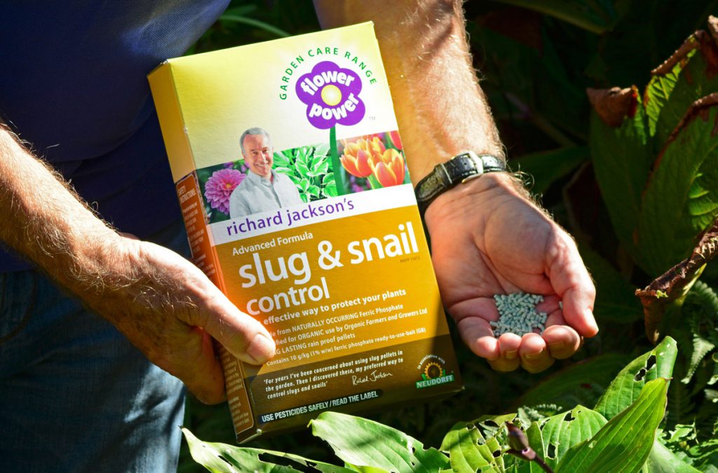 Richard holding a box of Slug and Snail Control