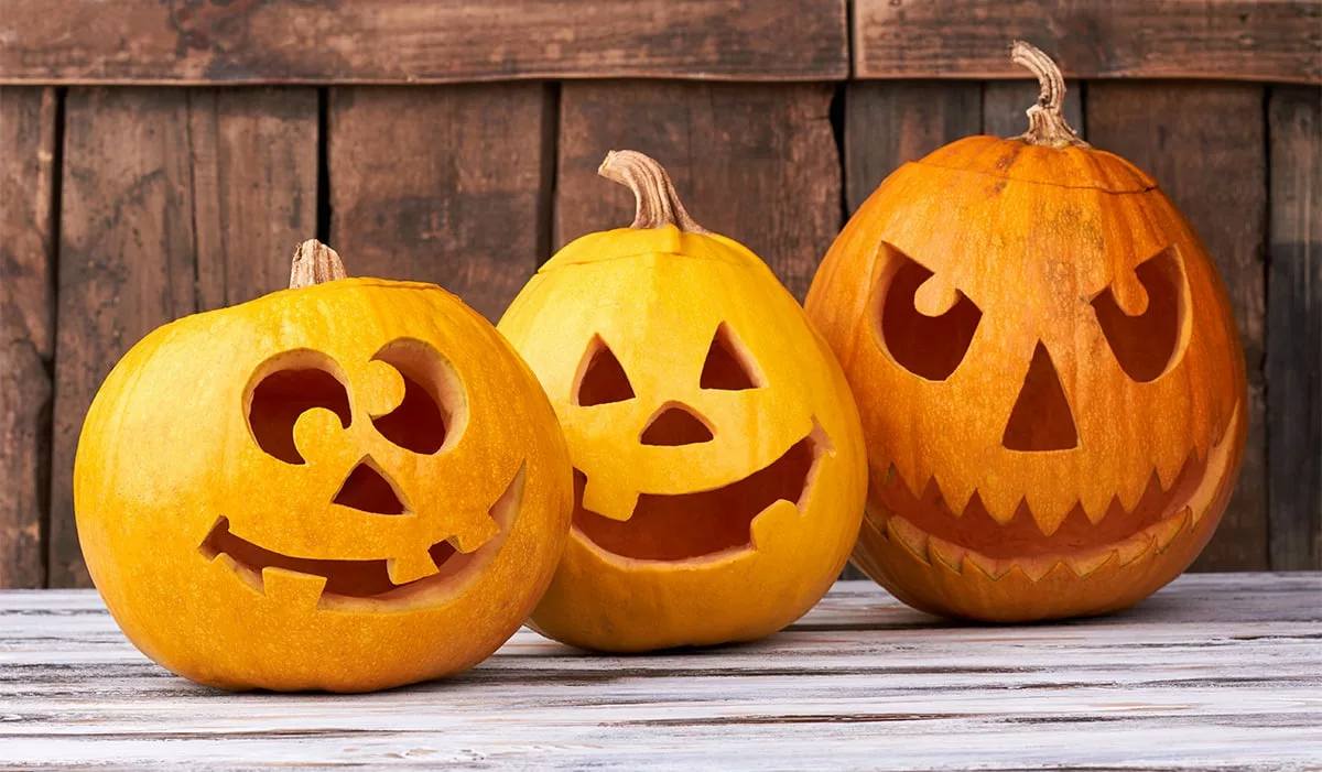 carved pumpkins for halloween