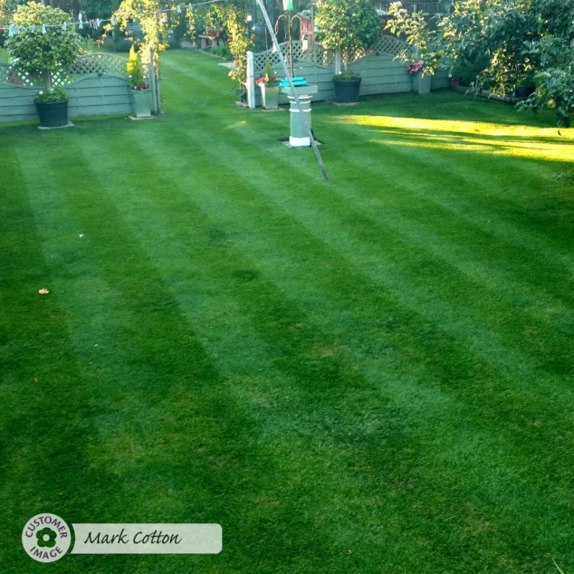 Lawn Magic 1 Litre