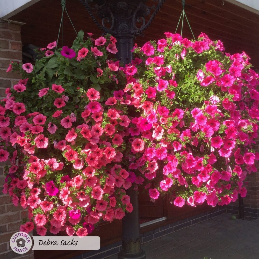 Flower Power Premium Plant Food 2kg