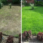 Triple Use Grass Seed 650g