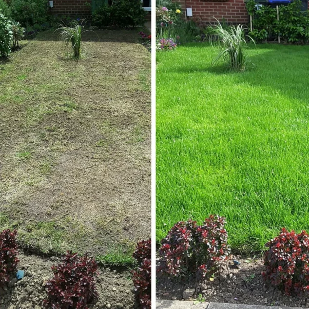 Triple Use Grass&nbsp;Seed&nbsp;650g