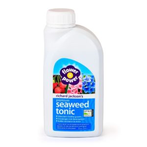 Premium Organic Seaweed Tonic - 500ml