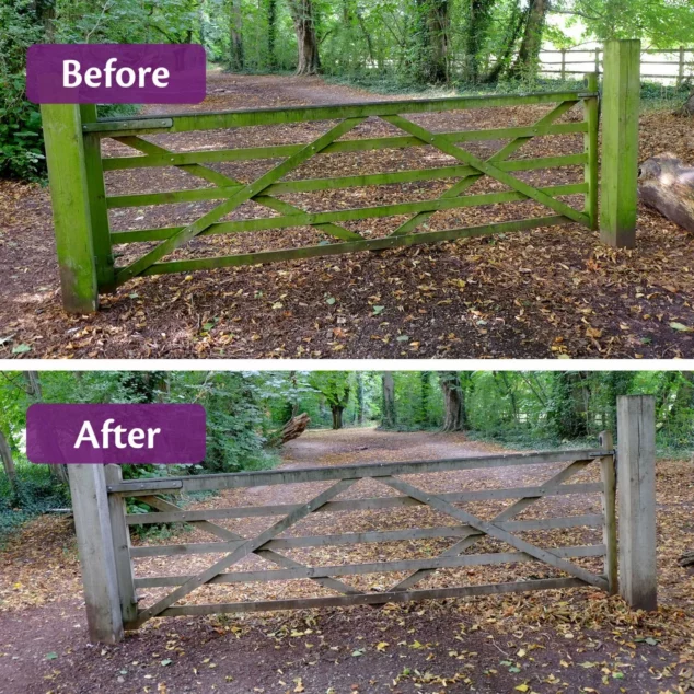 Easy Clean (2 x 1&nbsp;Litre)