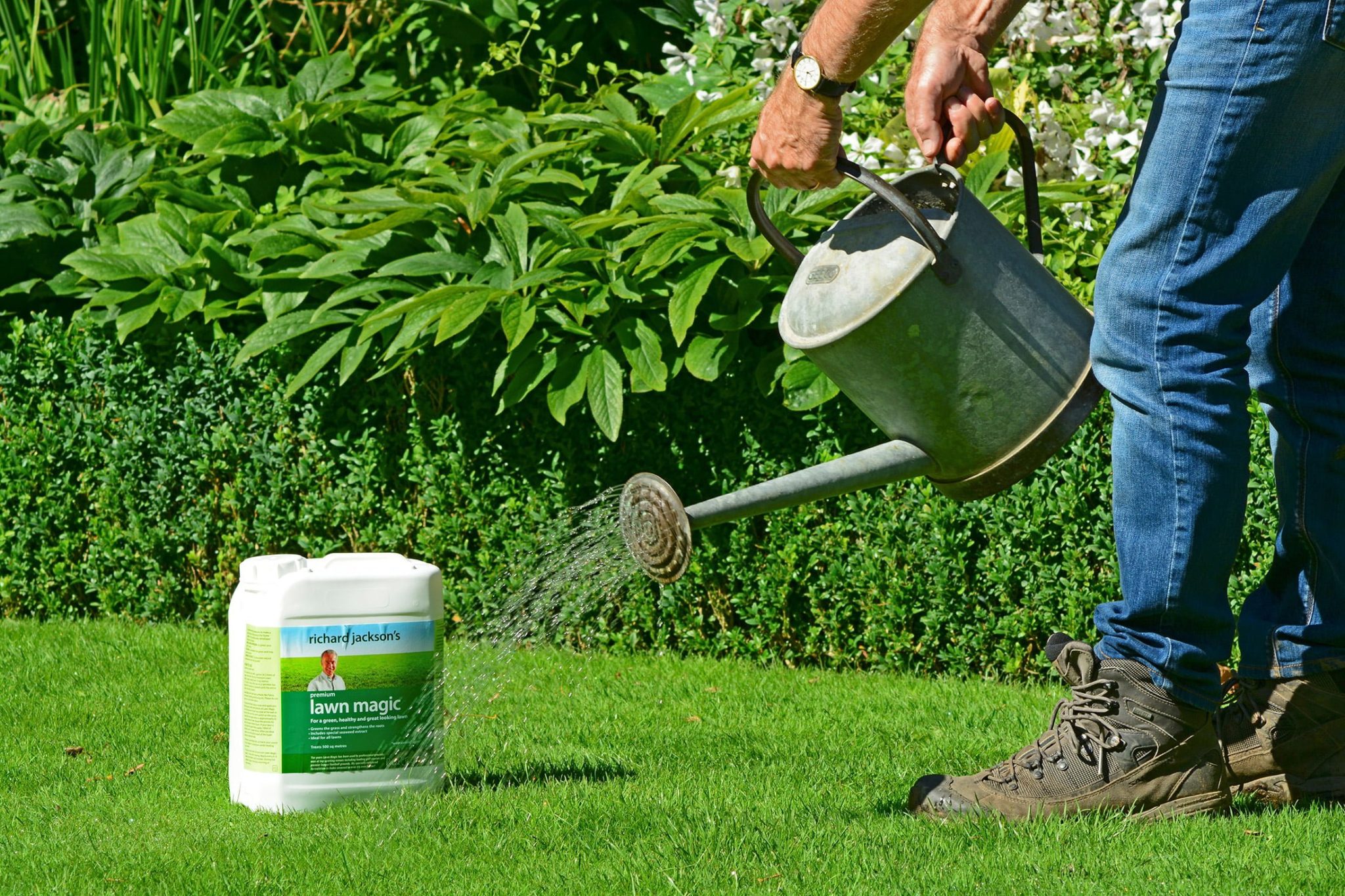 How to care for your summer lawn
