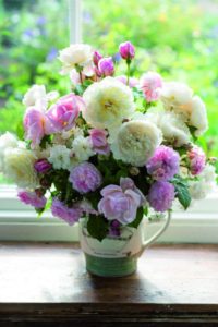 roses