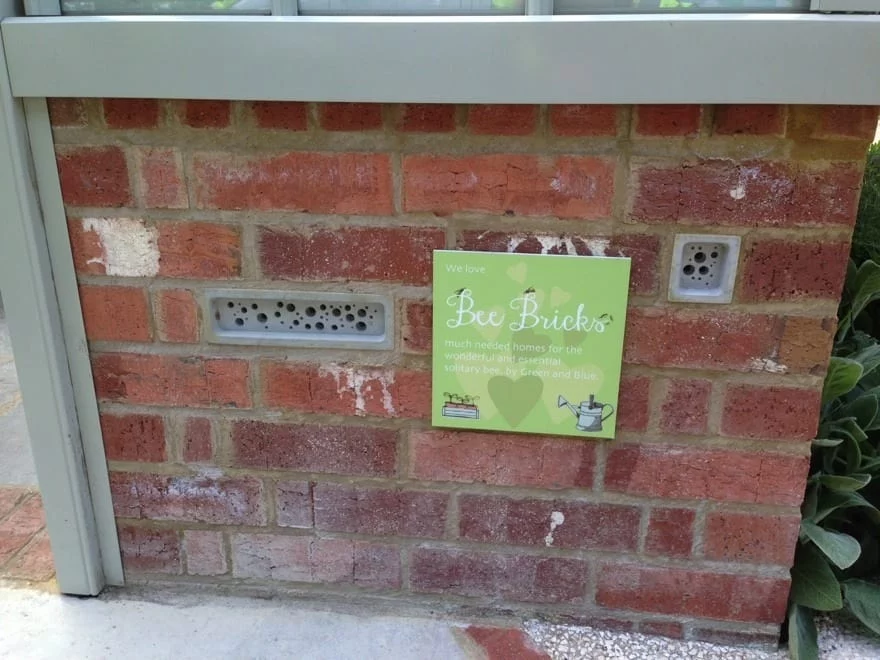 Supporting early emerging pollinators - Richard Jackson Garden